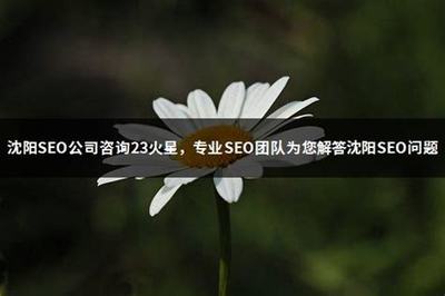 深度解析 如何甄別2024年正規(guī)SEO公司與深圳企業(yè)網(wǎng)站建設(shè)策略